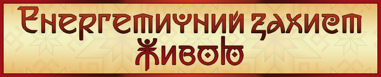 ЕНЕРГЕТИЧНИЙ ЗАХИСТ ЖИВОЮ